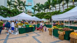 Arsht Center Market Mondays