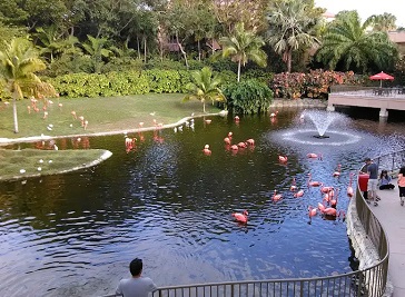 Jungle Island